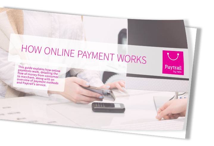 How Online Payments Work Paytrail